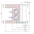 Torriani Replaced Double Row Ball Slewing Bearing (I. 1000.2.00. A)